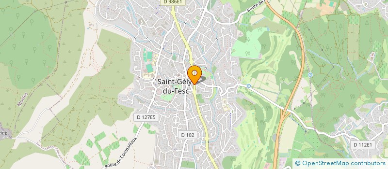 localisation de l'entreprise A(R)TY*PIC     POLE INTERNATIONALE DE LA CREATION CONTEMPORAINE  SAINT-GELY-DU-FESC