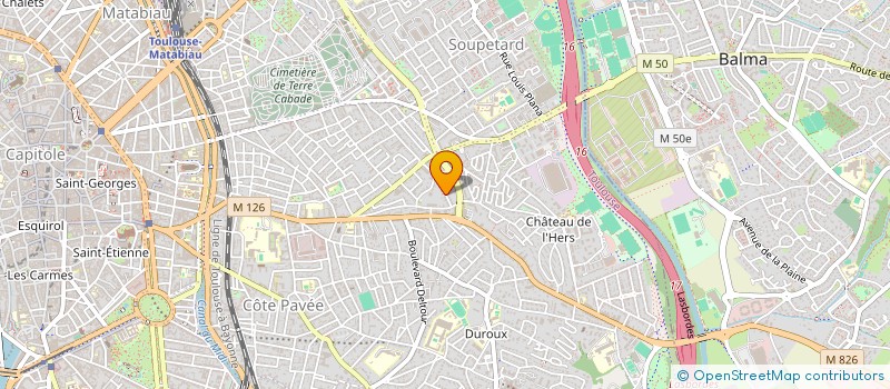 localisation de l'entreprise A.ZENOU HOLDING  TOULOUSE