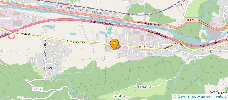 localisation de l'entreprise A2V INVEST  VOUGY