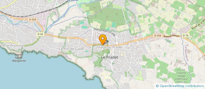 localisation de l'entreprise AAS TRANSPORTS  LE PRADET