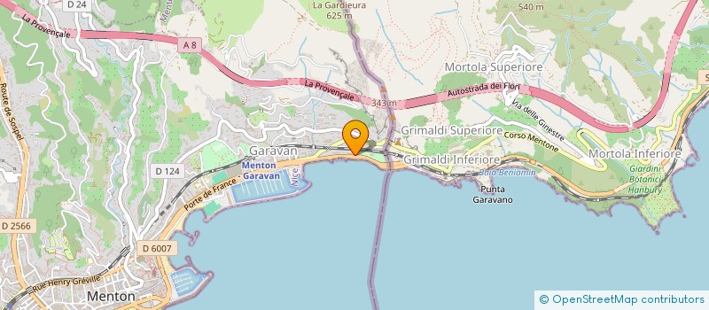 localisation de l'entreprise ACADEMIE INTERNATIONALE DES SCIENCES MOLECULAIRES QUANTIQUES  MENTON