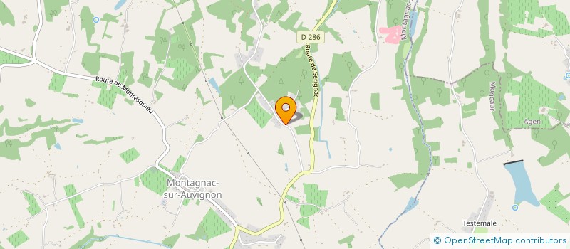 localisation de l'entreprise ACADEMIE NUMERIQUE DES TERRITOIRES DU 47  MONTAGNAC-SUR-AUVIGNON