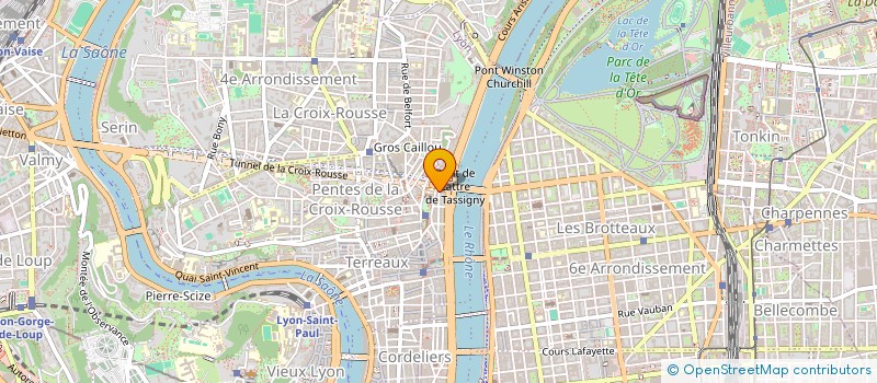 localisation de l'entreprise ACADEMIE TIAN LONG à LYON