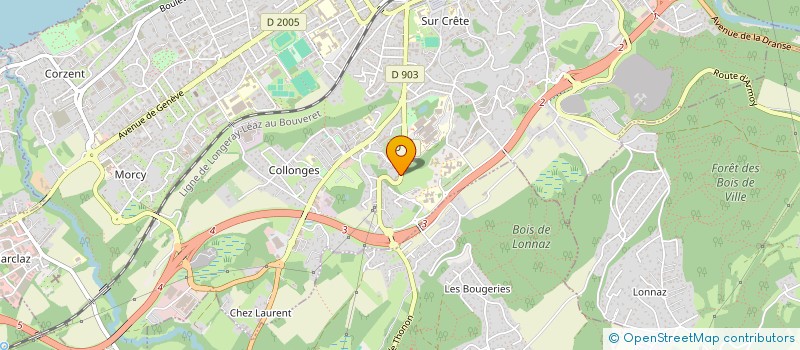 localisation de l'entreprise ACCEFE - ANIMAUX DE COMPAGNIE EDUCATION FORMATION EQUIPEMENTS SARL à THONON-LES-BAINS
