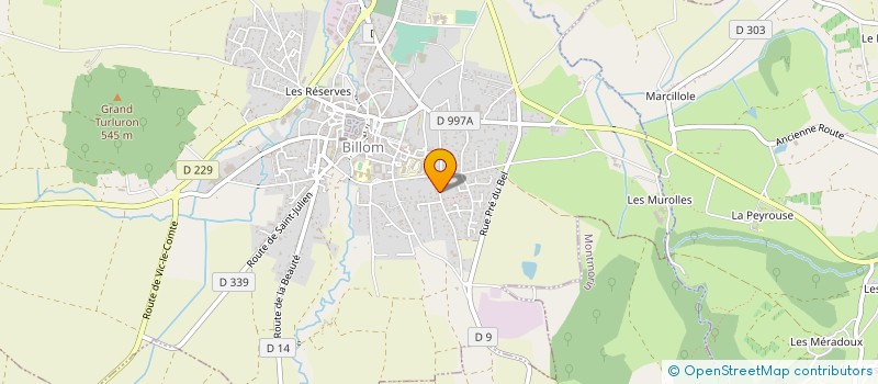 localisation de l'entreprise ACCEO  BILLOM