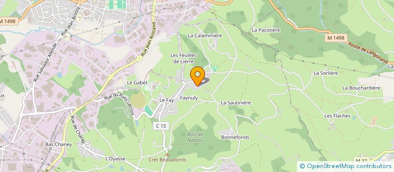 localisation de l'entreprise ACCES SECURITE MULTI SERVICES  SAINT-JEAN-BONNEFONDS