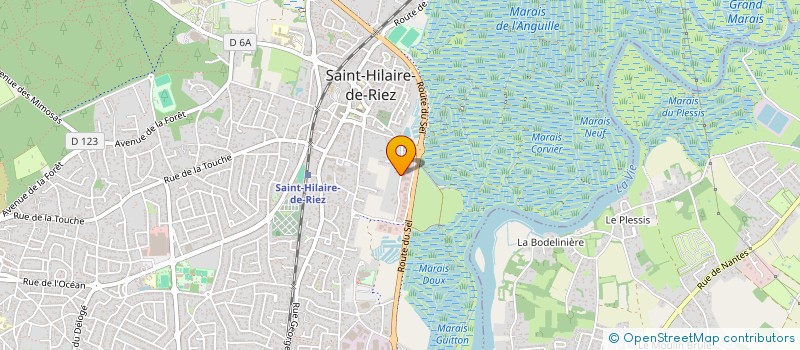 localisation de l'entreprise ACCESS PISCINE à SAINT-HILAIRE-DE-RIEZ