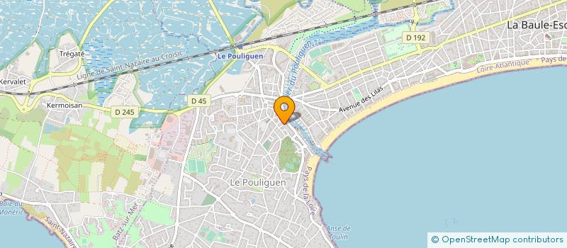 localisation de l'entreprise ACCUEIL DES ELEVES DES ECOLES PUBLIQUES  LE POULIGUEN