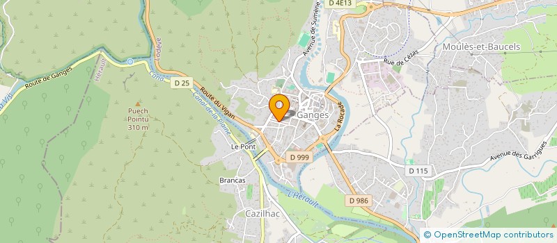 localisation de l'entreprise ACCUEIL RELAIS ET VACANCES EN CEVENNES  GANGES