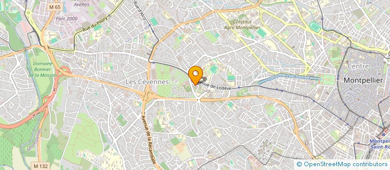 localisation de l'entreprise ACE ACADEMY à MONTPELLIER