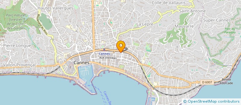 localisation de l'entreprise ACE PROPERTIES  CANNES