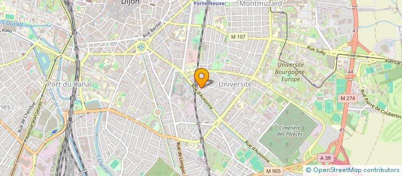 localisation de l'entreprise ACT FOR HER  DIJON