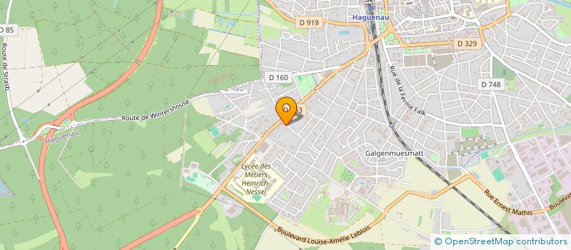 localisation de l'entreprise ACTION DEFENSE NATURE  HAGUENAU