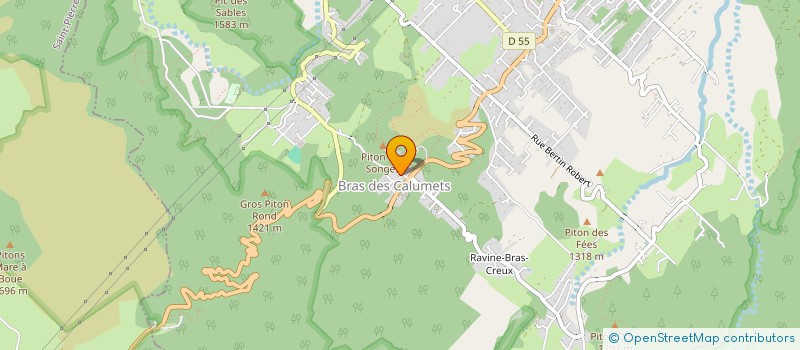 localisation de l'entreprise ACTION GLOBALE INSERTION REMOBILISATION  LA PLAINE-DES-PALMISTES