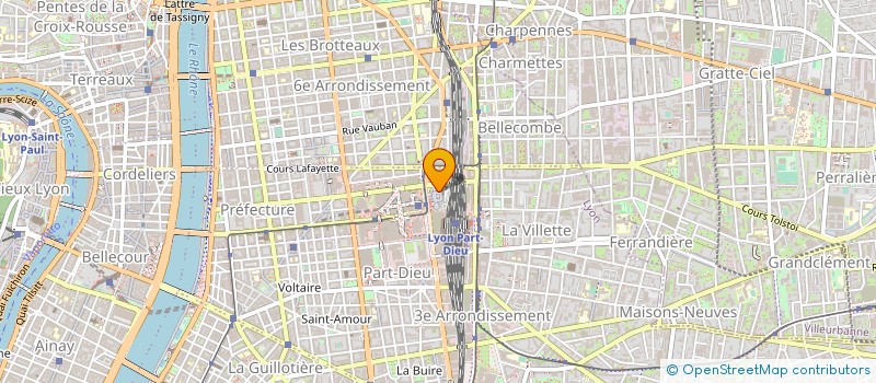 localisation de l'entreprise ACTION MANAGEMENT ORGANISATION SOCIETE  LYON