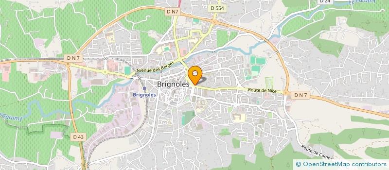 localisation de l'entreprise ACTION MEDICALE à BRIGNOLES