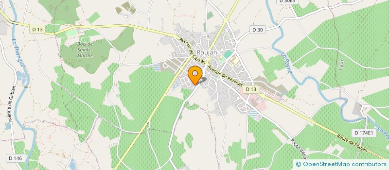 localisation de l'entreprise ACTION NET SERVICES  ROUJAN