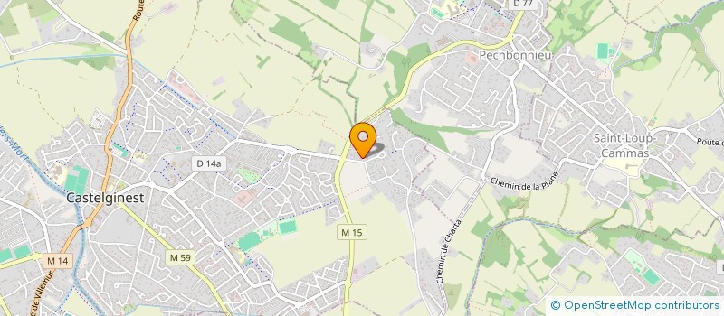 localisation de l'entreprise ACTION PEINTURE  CASTELGINEST