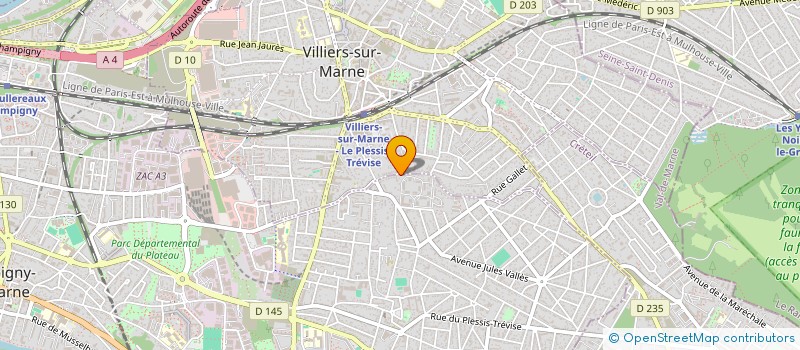 localisation de l'entreprise ACTION POUR LA VIE DE L'ECOLE  CHAMPIGNY-SUR-MARNE