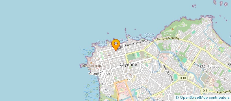 localisation de l'entreprise ACTION POUR LE DEVELOPPEMENT L EDUCATION ET LA RECHERCHE  CAYENNE