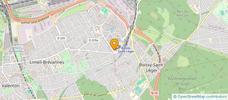 localisation de l'entreprise ACTION SERVICE PROTECTION INTERVENTION (ASPI) à BOISSY-SAINT-LEGER
