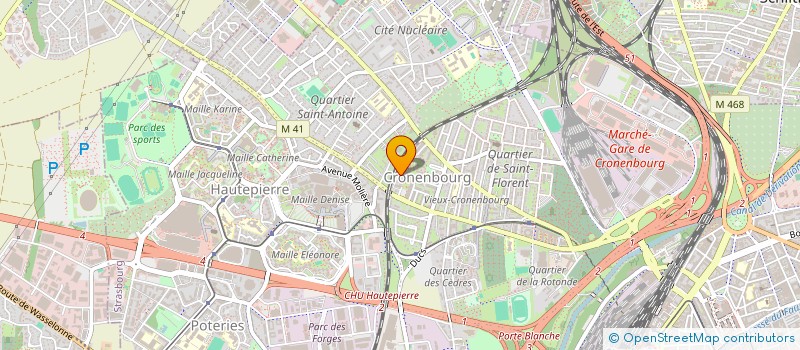 localisation de l'entreprise ACTION SERVICES RHONE ALPES à STRASBOURG