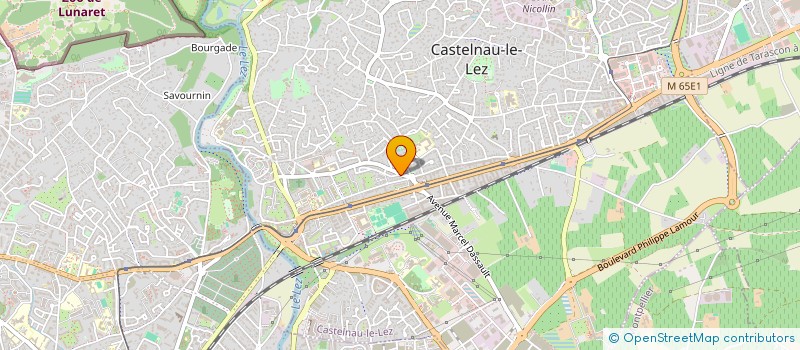 localisation de l'entreprise ACTIVA GESTION à CASTELNAU-LE-LEZ