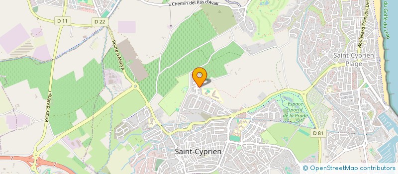 localisation de l'entreprise AD ASTRA CONSULTANTS  SAINT-CYPRIEN