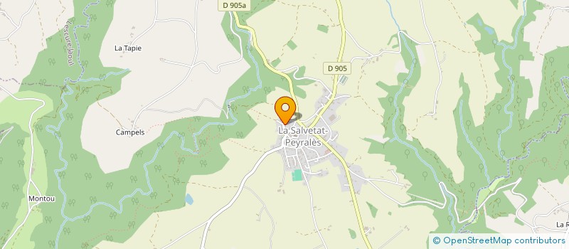 localisation de l'entreprise ADAP 12 LA CABANE - ASSOCIATION DEPARTEMENTALE D'ARTS PLURIELS 12 LA CABANE  TAYRAC