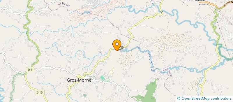 localisation de l'entreprise ADERSOL SASU  GROS-MORNE
