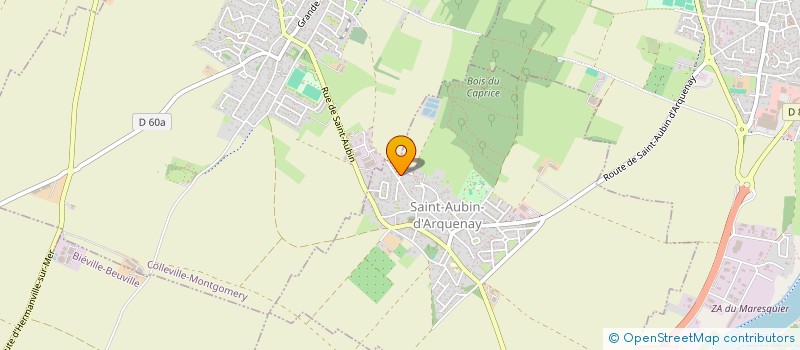 localisation de l'entreprise ADI - PRO  SAINT-AUBIN-D'ARQUENAY