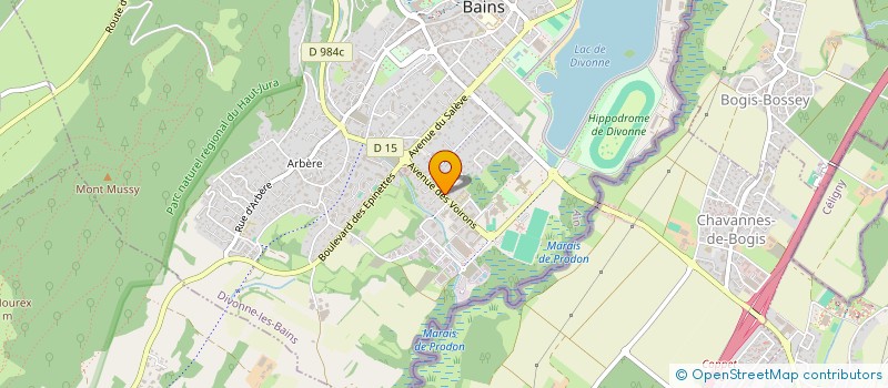 localisation de l'entreprise ADVISOR SWISS INSURANCE SAS à DIVONNE-LES-BAINS