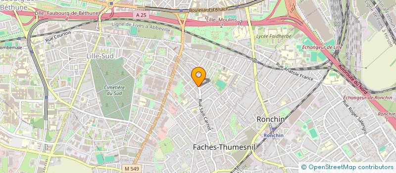 localisation de l'entreprise AE RUE FERRER  FACHES-THUMESNIL