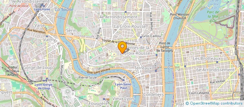 localisation de l'entreprise AEDELSA  LYON