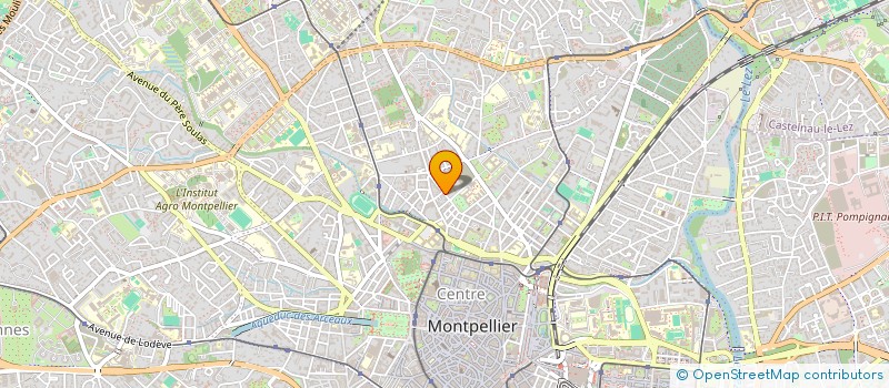 localisation de l'entreprise AELV PRODUCTION (ASI EST LA VIDA PRODUCTION) à MONTPELLIER