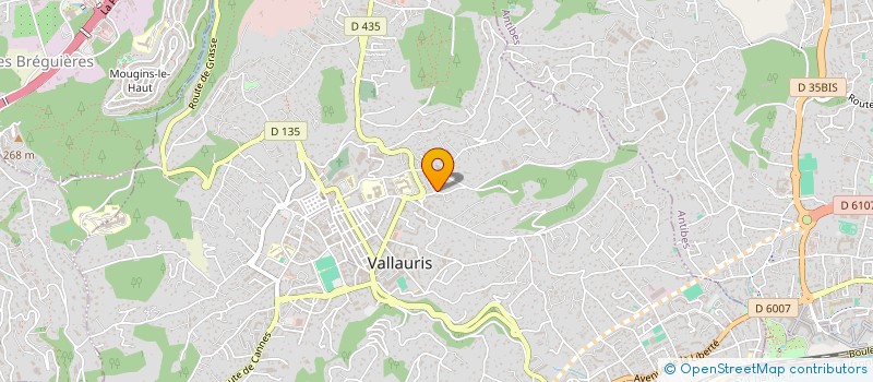 localisation de l'entreprise AF SERVICES à VALLAURIS
