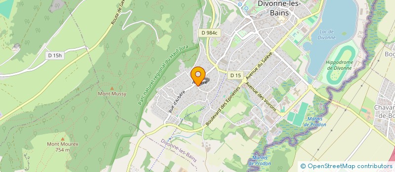 localisation de l'entreprise AF2J à DIVONNE-LES-BAINS