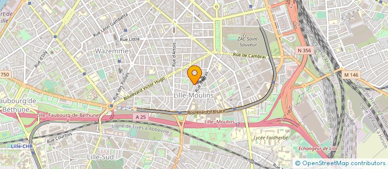 localisation de l'entreprise AFH DO REGO CONSEIL à LILLE