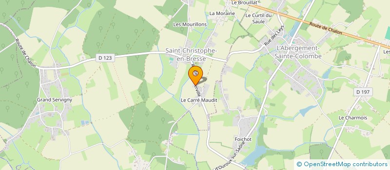 localisation de l'entreprise AFM IMMO  SAINT-CHRISTOPHE-EN-BRESSE