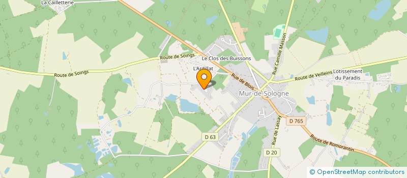 localisation de l'entreprise AFP DIAG  MUR-DE-SOLOGNE