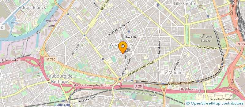 localisation de l'entreprise AFRIQUE DELICES à LILLE