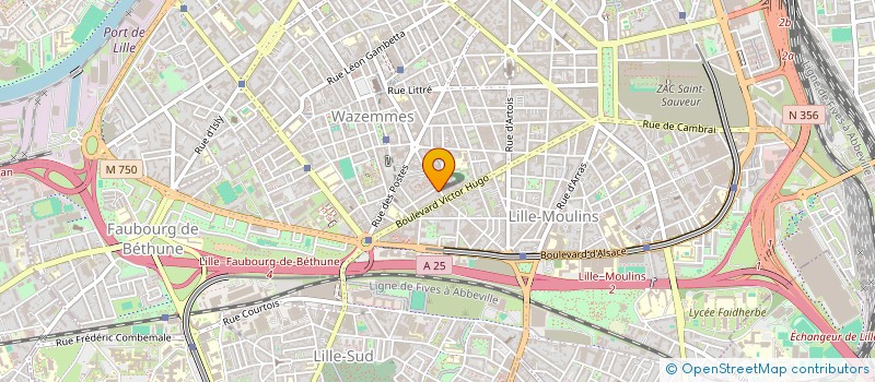 localisation de l'entreprise AFRIQUE ICI ET AILLEURS à LILLE