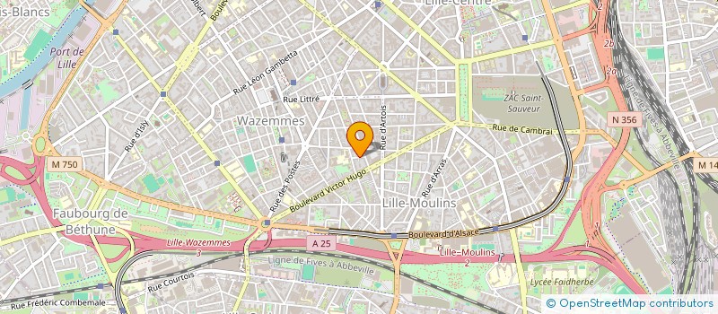 localisation de l'entreprise AFRO EVASION PRODUCTION à LILLE