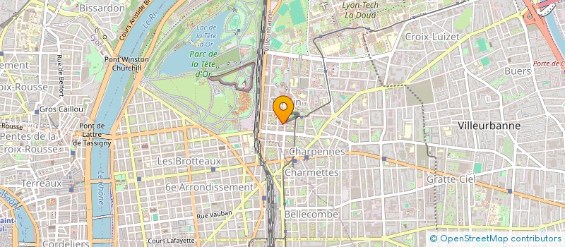 localisation de l'entreprise AFRO'MOJA  VILLEURBANNE