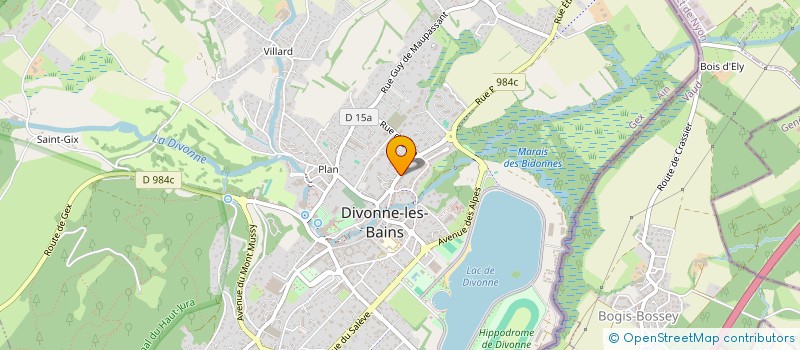 localisation de l'entreprise AFTER FOOT ASSOCIATION à DIVONNE-LES-BAINS