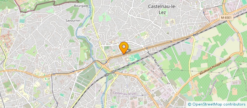 localisation de l'entreprise AGENCE 113 à CASTELNAU-LE-LEZ