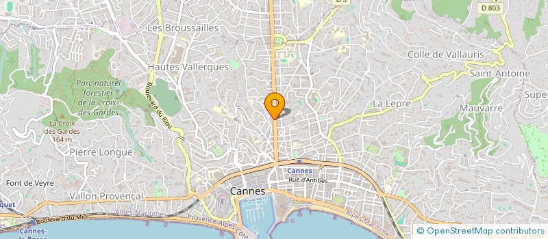 localisation de l'entreprise AGENCE CARNOT 45 à CANNES