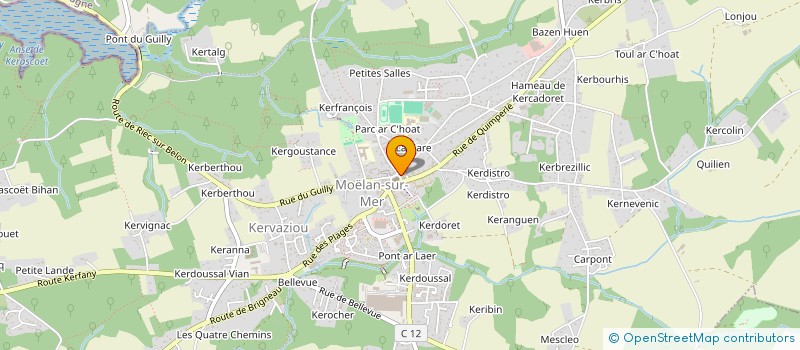 localisation de l'entreprise AGENCE DES AVENS  MOELAN-SUR-MER