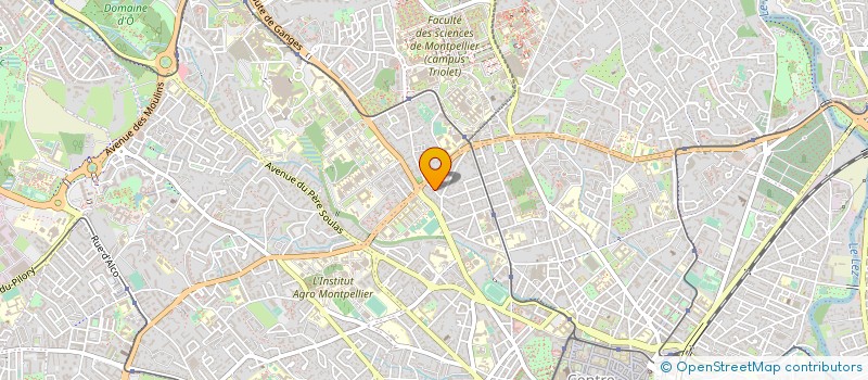 localisation de l'entreprise AGENCE DU TRIOLET à MONTPELLIER
