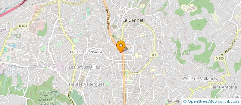localisation de l'entreprise AGENCE FRANCAISE D EXPLOITATION L IMAGE à LE CANNET